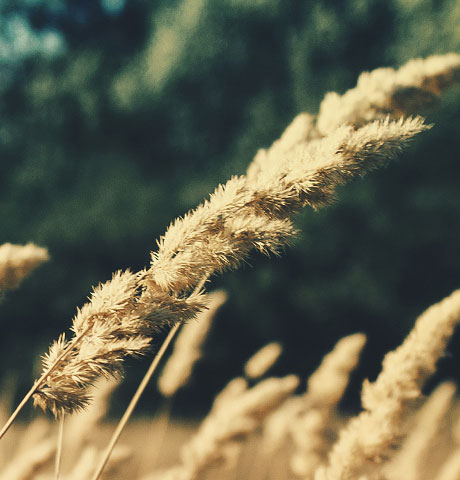 【免安装】便捷的怎么去攻击一个网站与防护